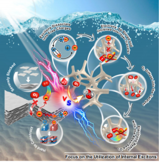 中山大學「國家杰青」歐陽鋼鋒團隊，最新Nature子刊！
