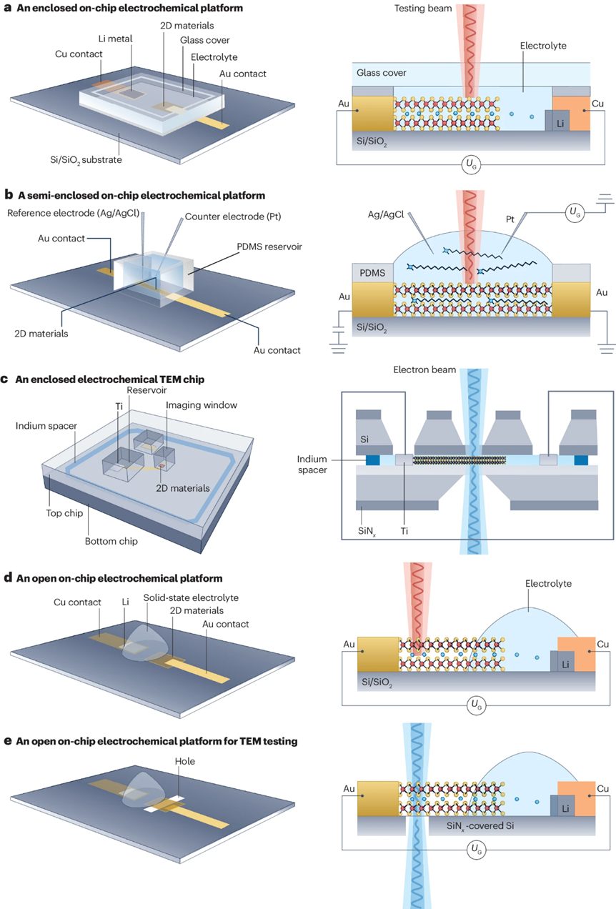Nature Reviews Chemistry綜述：二維材料的插層帶來新興電子相轉移