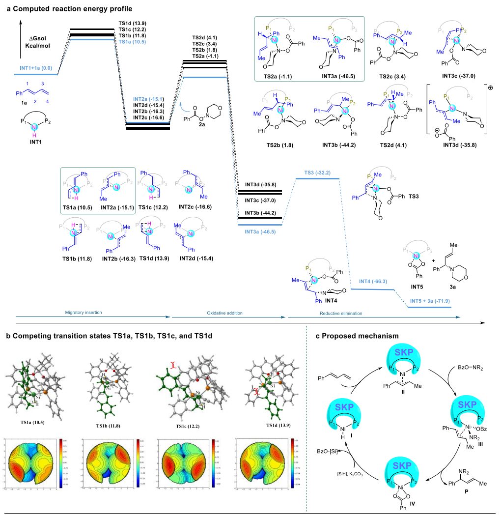 重磅！丁奎嶺院士，最新JACS！