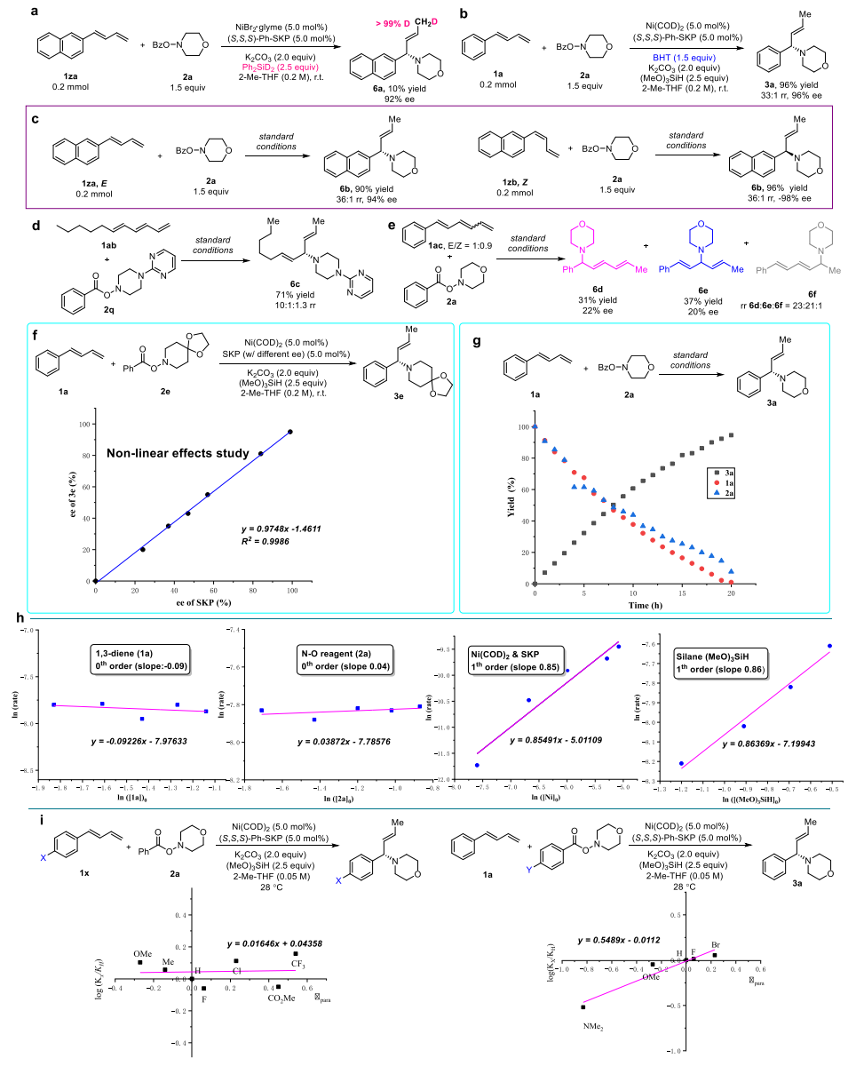 重磅！丁奎嶺院士，最新JACS！
