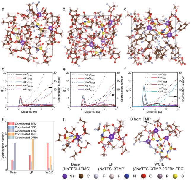 廈門大學董全峰/鄭明森，最新Nature子刊！