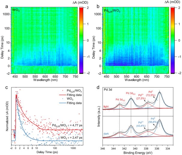 2023新晉院士，最新JACS！