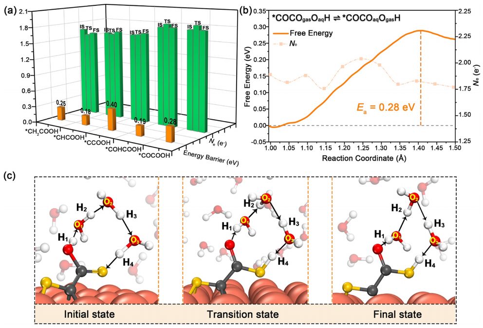 東南大學王金蘭/凌崇益團隊，最新ACS Catalysis！