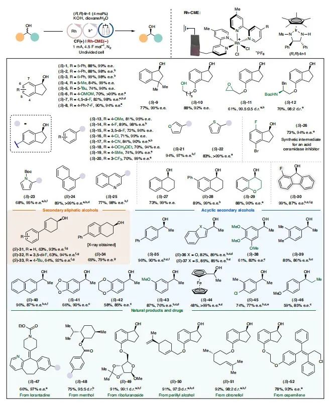 師承諾獎得主！南方科技大學，最新Nature Catalysis！