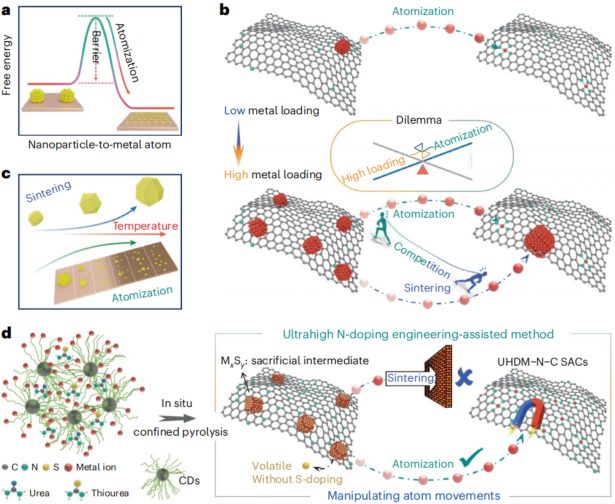 盧思宇&段鑲鋒，最新Nature Synthesis！