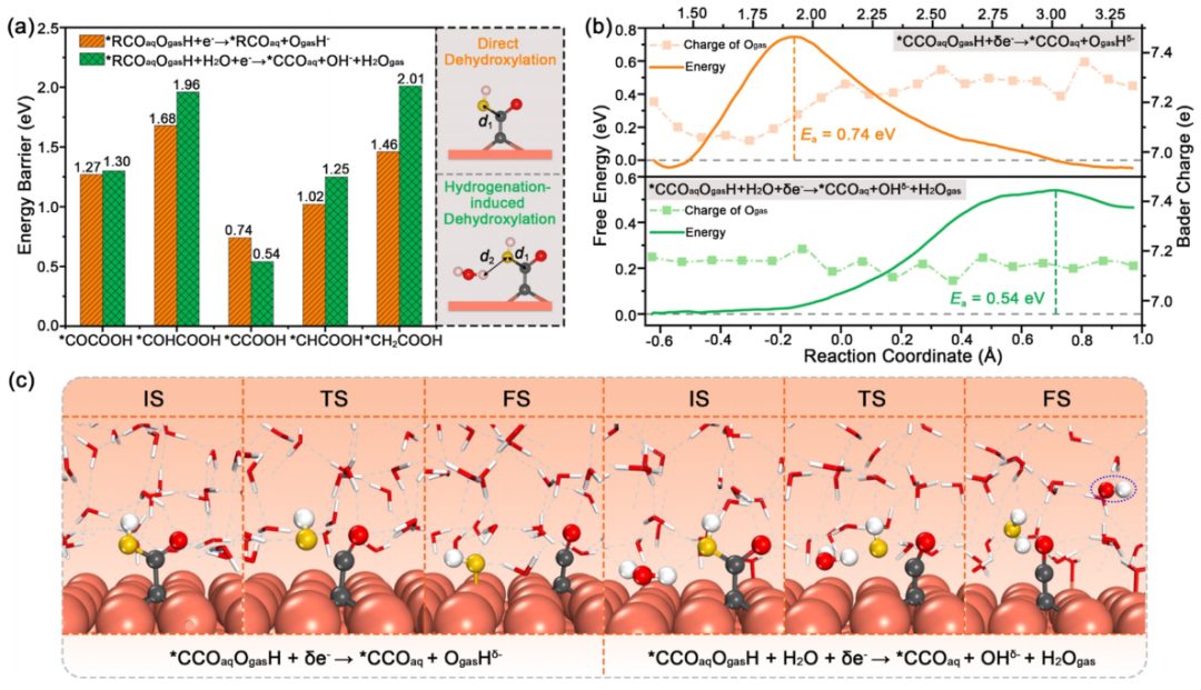 東南大學王金蘭/凌崇益團隊，最新ACS Catalysis！