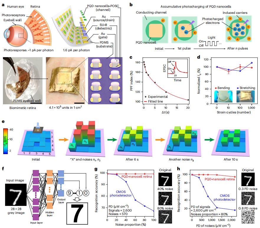 復旦大學，最新Nature Nanotechnology！