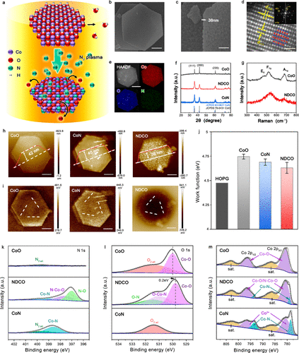 中科大高敏銳教授，最新JACS！