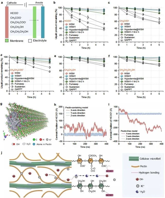 受西瓜皮啟發！他，中科院院士，2020年全職回國加盟西湖大學，新發Nature子刊！