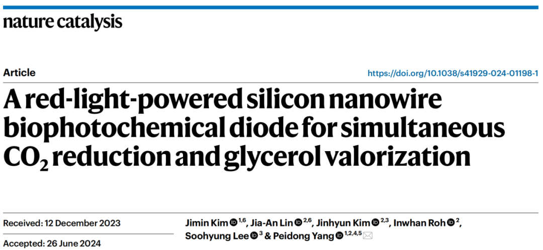 Si納米線“再續傳奇”！三院院士楊培東，最新Nature Catalysis！