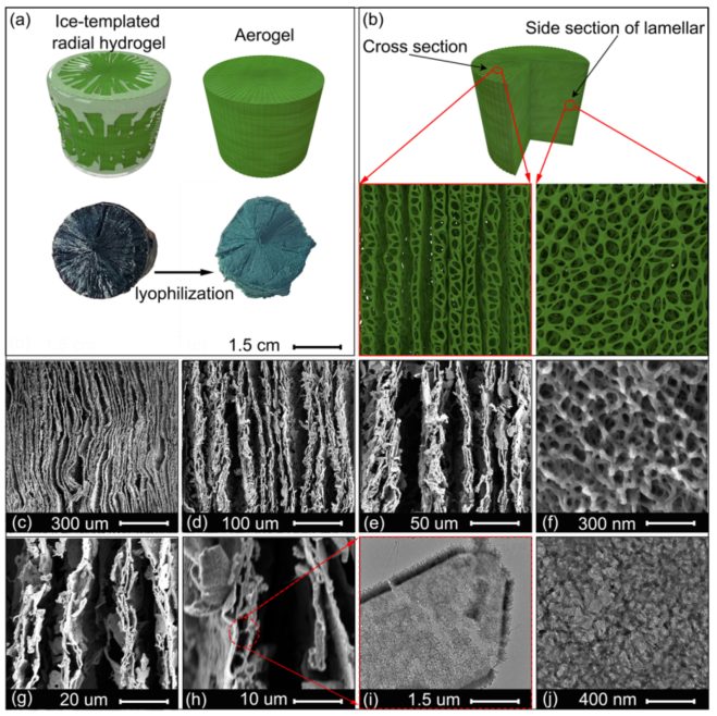 海南大學高艷安/巫繼鋒&廈門大學白華，最新Nature子刊！
