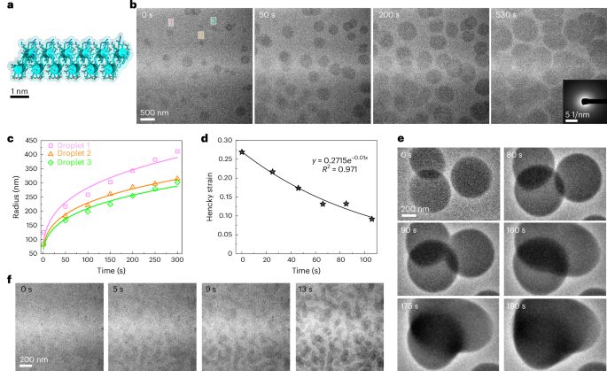 院士領銜！南京大學，最新Nature Materials！