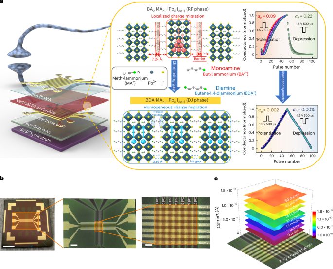 新的二維鈣鈦礦材料，登頂Nature Nanotechnology！