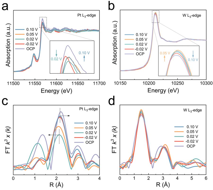 黑龍江大學，最新JACS！