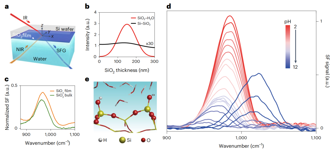 她，「國家優青」，博士畢業三年任985教授，聯手院士導師，新發Nature Chemistry！