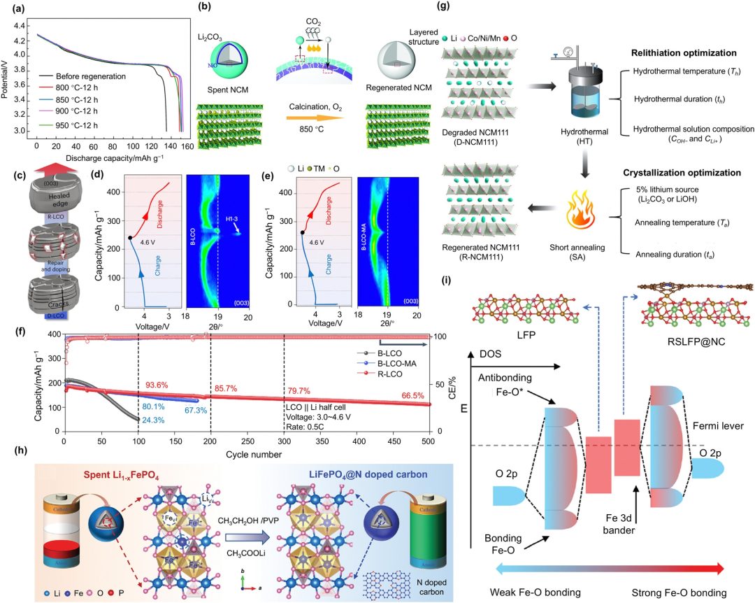 IF=40.4！清華大學(xué)&東北大學(xué)，最新Chem Soc Rev！