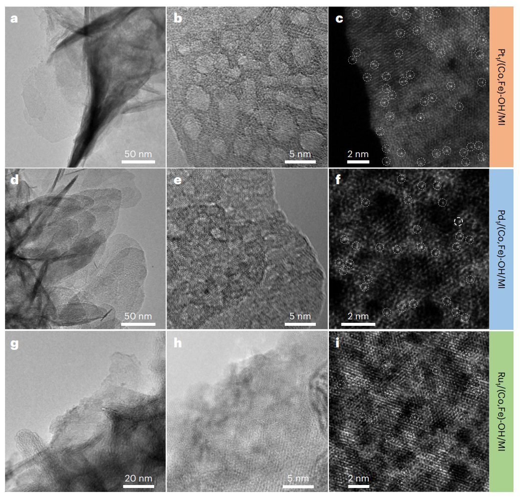 深圳大學，最新Nature Nanotechnology！投稿到接收，剛好1年！