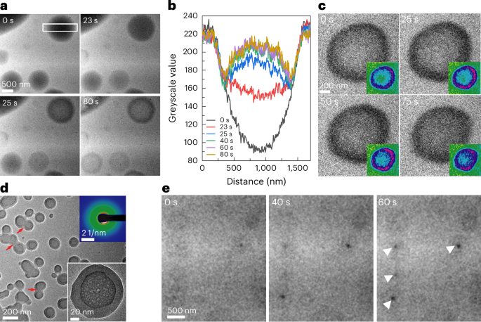 院士領銜！南京大學，最新Nature Materials！