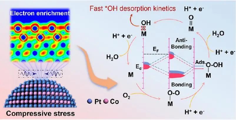 牛！施劍林院士/崔香枝研究員，連發Chem和JACS！