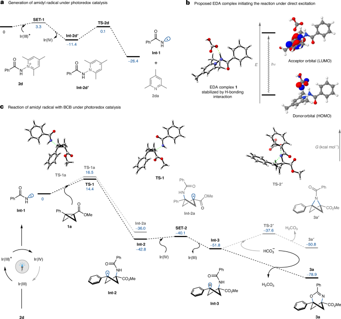 Glorius院士，最新Nature Catalysis！