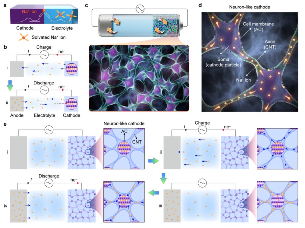 200C，-60℃！打破傳統！南開大學陳軍院士，最新JACS！