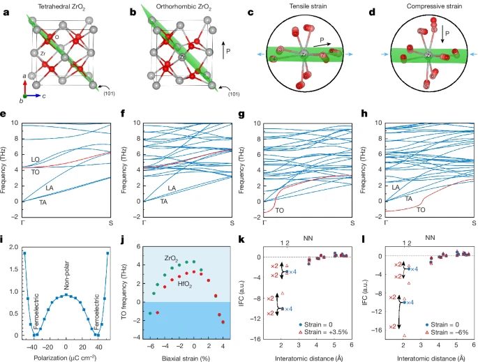 中國(guó)科學(xué)院，最新Nature！