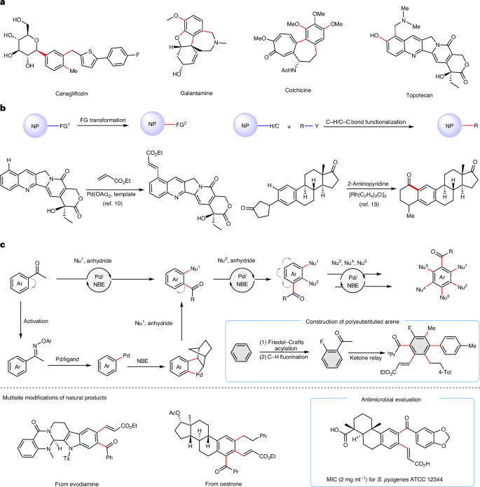 上海藥物所/杭高院，新發Nature Synthesis！！