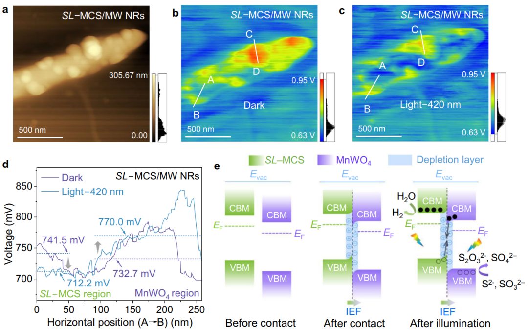 武理工「國家優(yōu)青」，聯(lián)合余家國教授，最新Nature子刊！