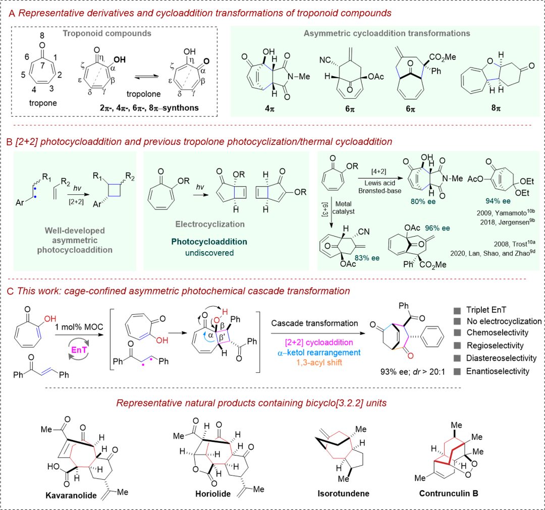 籠狀光催化劑！中山大學(xué)「國(guó)家杰青」蘇成勇，新發(fā)JACS！
