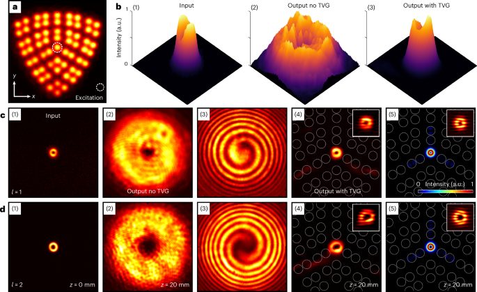 IF=32.3！南開大學，Nature Photonics！