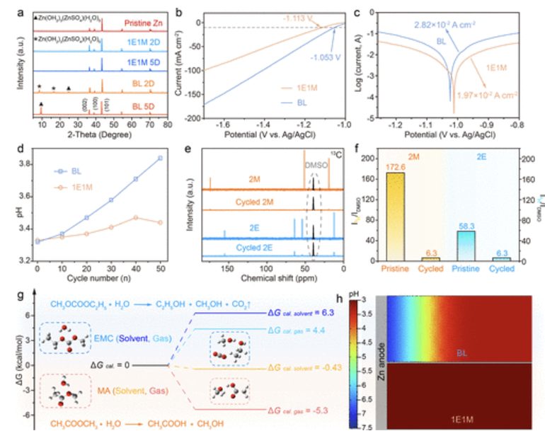 【MS發頂刊】東北師大，JACS！分子協同效應介導高效界面化學實現無枝晶鋅陽極！