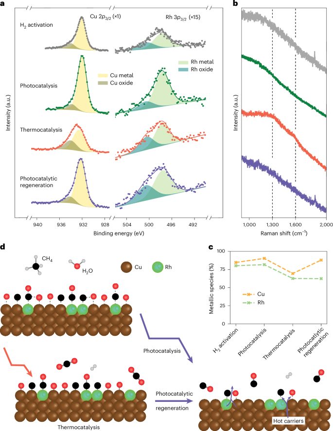三院院士領銜！光催化，再登Nature Catalysis！