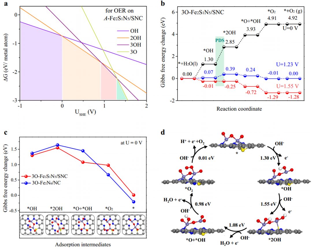 2000h！>97%！鄭州大學，新發Nature子刊！