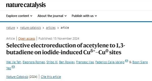 電催化，Nature Catalysis！