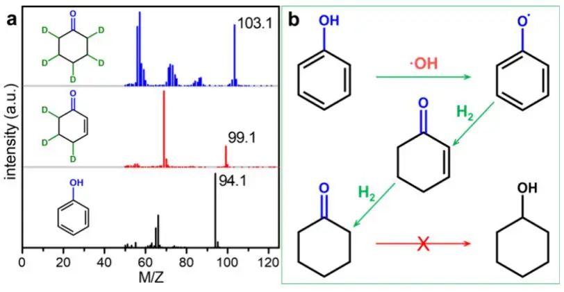 他，博畢2年即廈大教授、4年獲「國家杰青」！2023年新晉院士，新發(fā)JACS！