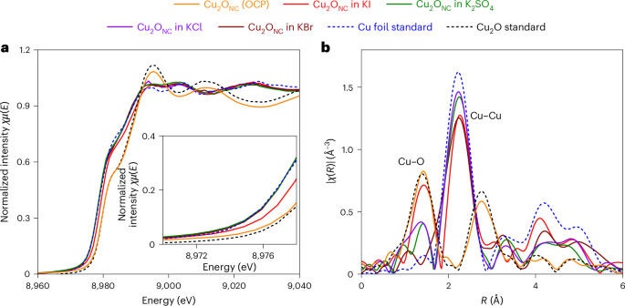 電催化，Nature Catalysis！