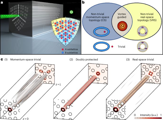IF=32.3！南開大學，Nature Photonics！