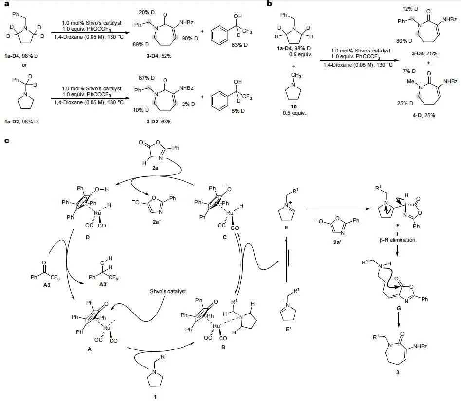 他，留學MIT/耶魯，博畢5年任211教授/「國家高層次青年人才」，新發Nature Chemistry！