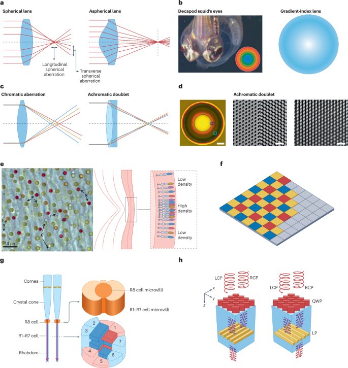 IF=79.8！香港科技大學，新發Nature Reviews Materials！