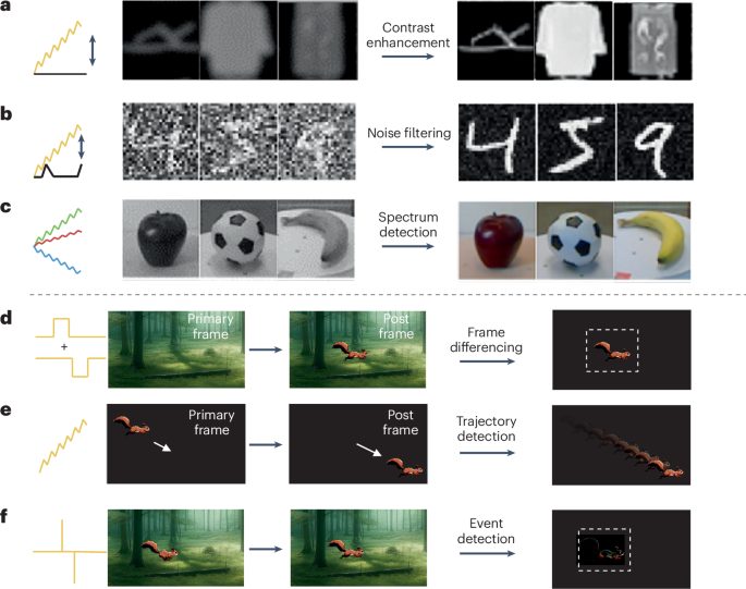 IF=79.8！香港科技大學，新發Nature Reviews Materials！