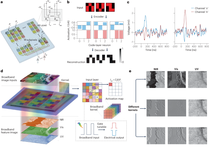 IF=79.8！香港科技大學，新發Nature Reviews Materials！