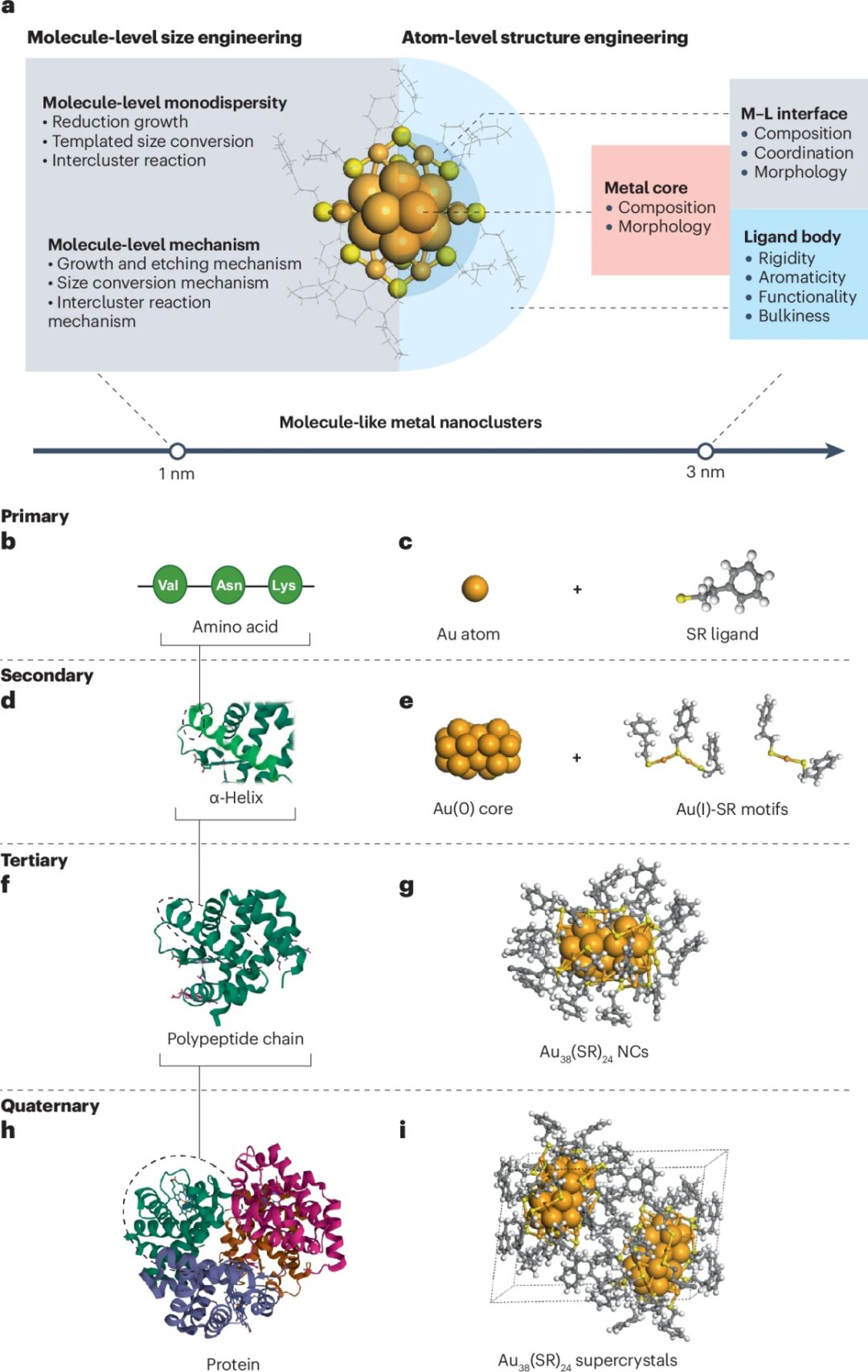 天津大學胡文平/姚橋峰、新加坡國立大學謝建平Nature Reviews Materials綜述