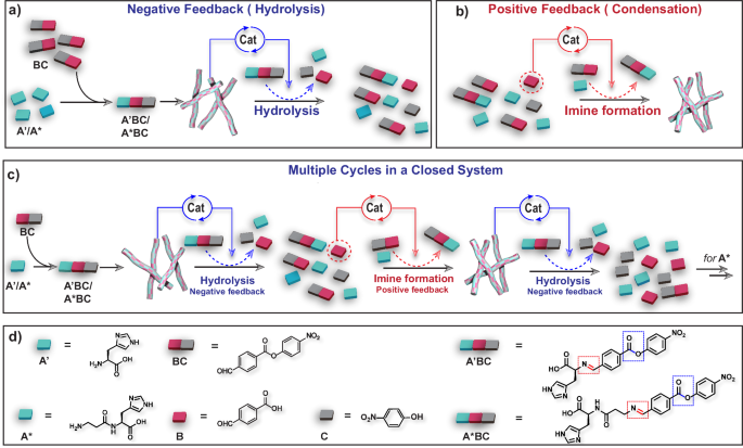 自組裝！這個團(tuán)隊，連發(fā)Nature綜述、JACS，最新成果又登Nature子刊！