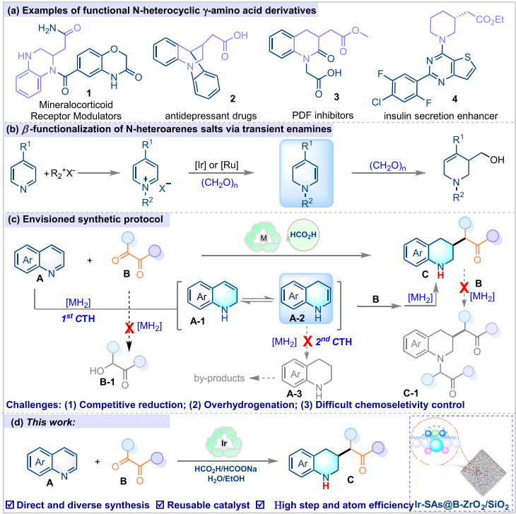 專注催化領(lǐng)域！他，華工「洪堡學者」，新發(fā)JACS！