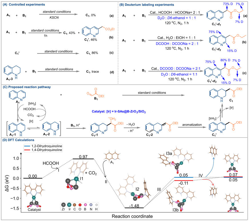 專注催化領(lǐng)域！他，華工「洪堡學者」，新發(fā)JACS！