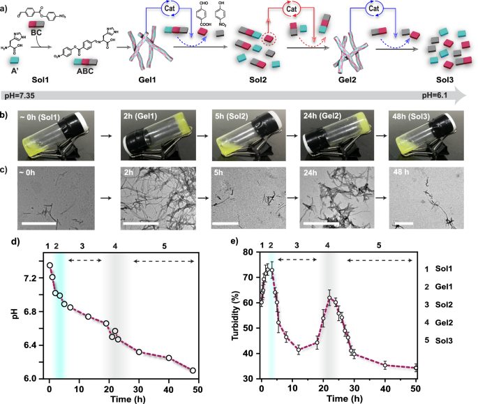 自組裝！這個團(tuán)隊，連發(fā)Nature綜述、JACS，最新成果又登Nature子刊！