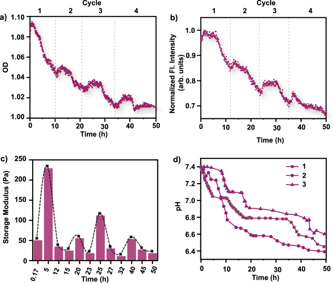 自組裝！這個團(tuán)隊，連發(fā)Nature綜述、JACS，最新成果又登Nature子刊！