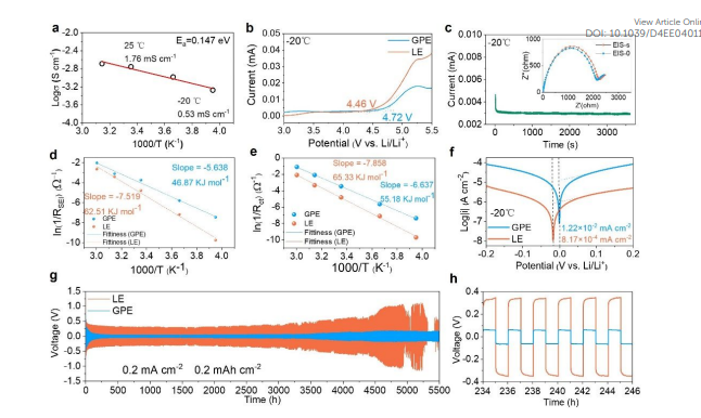 重大突破，-60°C！中南大學「國家海外高層次人才」，新發EES！
