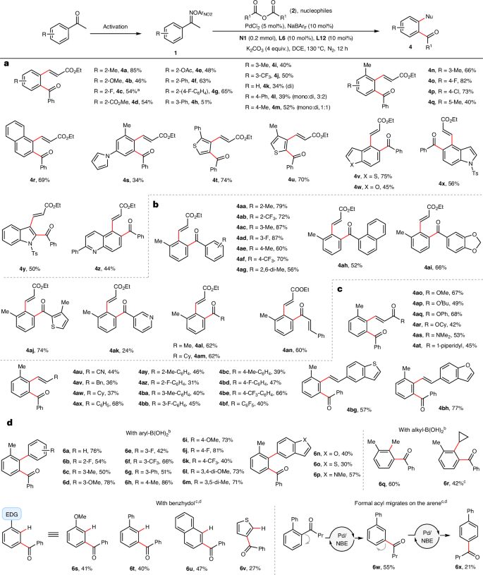 上海藥物所/杭高院，新發Nature Synthesis！！