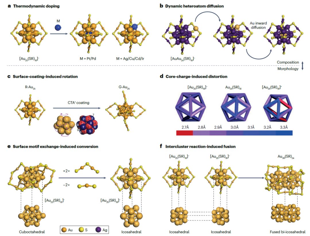 天津大學胡文平/姚橋峰、新加坡國立大學謝建平Nature Reviews Materials綜述